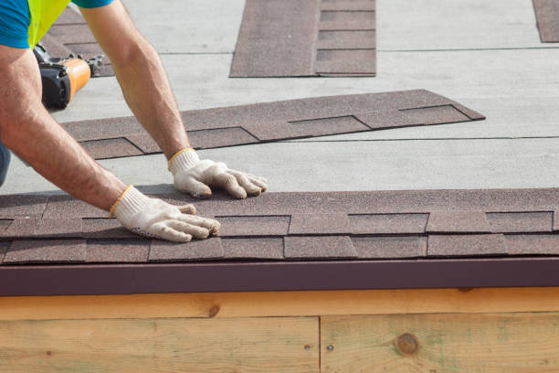 Best Roof Moss and Algae Removal  in Murrysville, PA